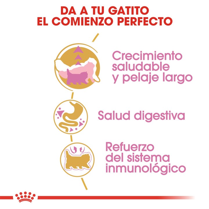 Royal Canin Kitten Persian para gatitos raza Persa