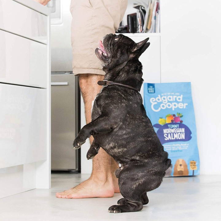 Los mejores piensos sin cereales Edgard & Cooper, para perros