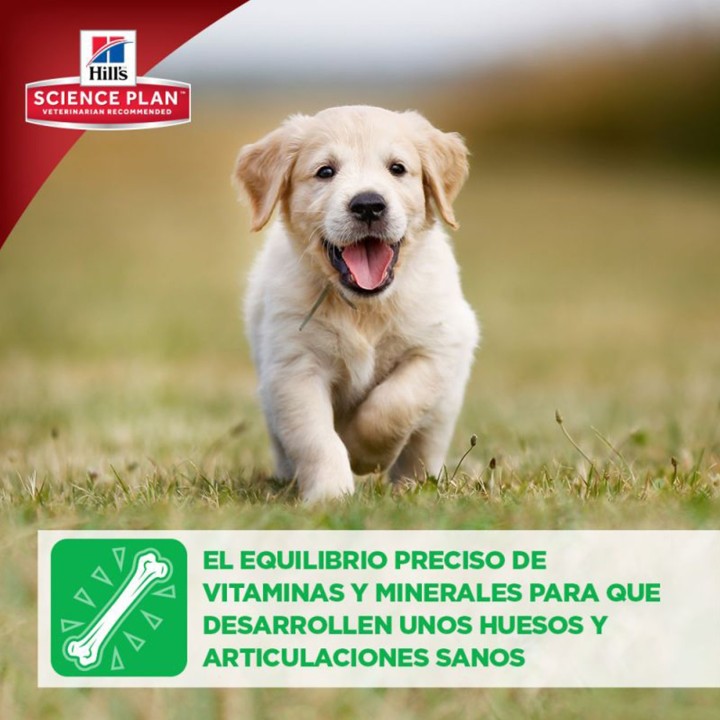 Pienso Hill's Science Plan Puppy Healthy Development, proporciona crecimiento a los huesos