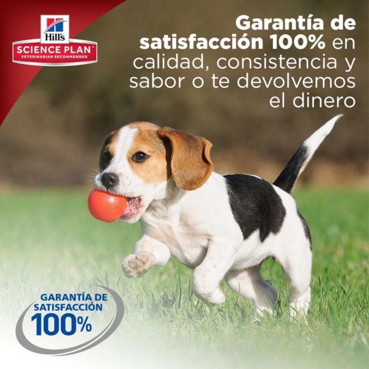 EL mejor pienso para cachorros de la marca Pienso Hill's