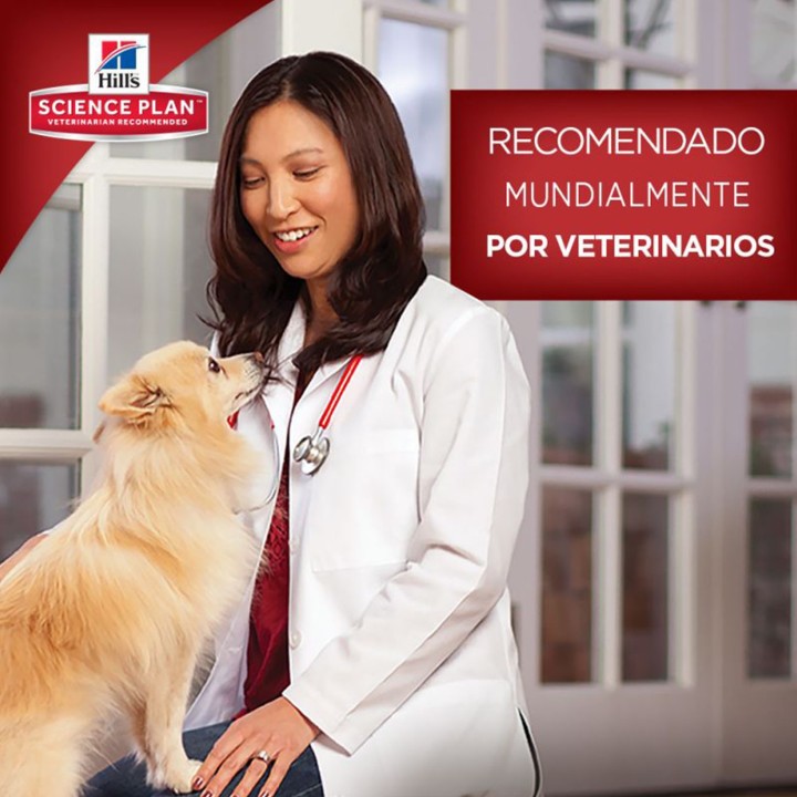 Pienso para cachorros Pienso Hill's, la mejor calidad al mejor precio