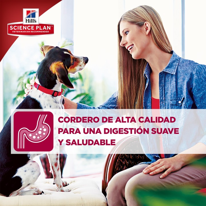 Hill's Science Plan Adult Advance Fitness Cordero y Arroz
