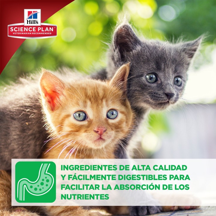Comida Húmeda Hill's Science Plan Kitten con ingredientes alta calidad