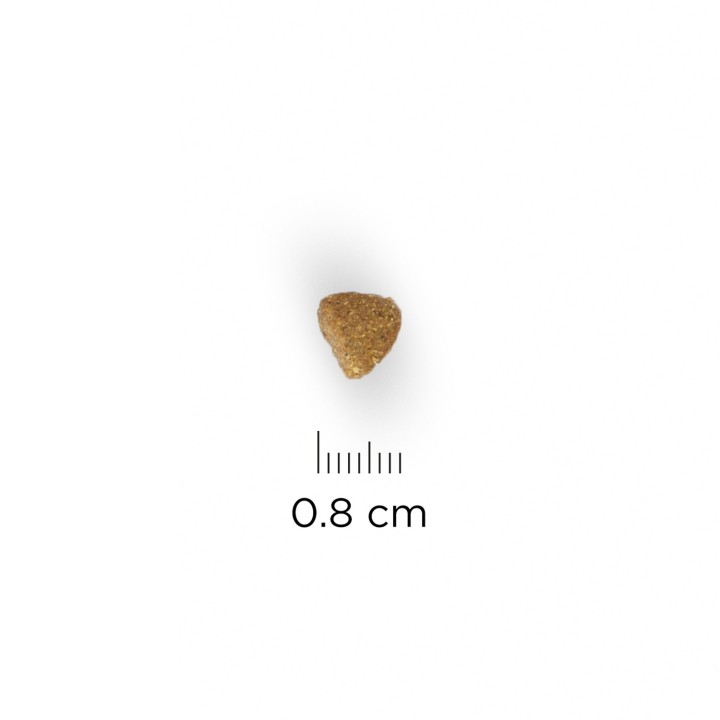 Croquetas de pienso Hill's Science Plan Kitten Healthy Development Pollo