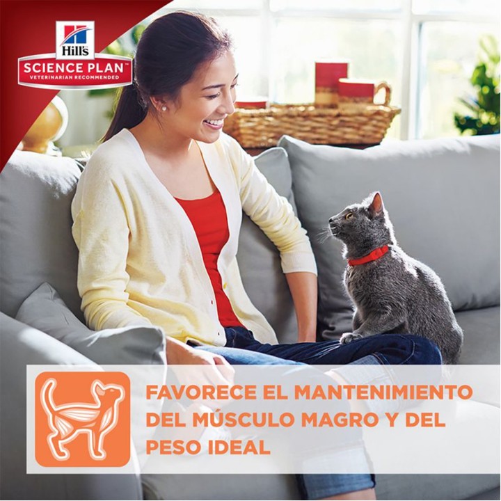 Comida Húmeda Hill's para el crecimiento de tu gato