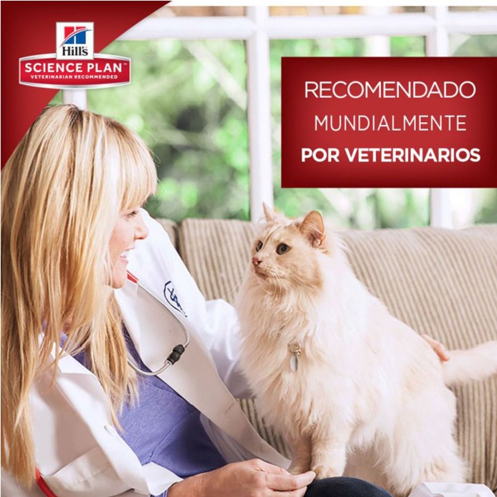 Comida Húmeda Hill's Science recomendada por veterinarios
