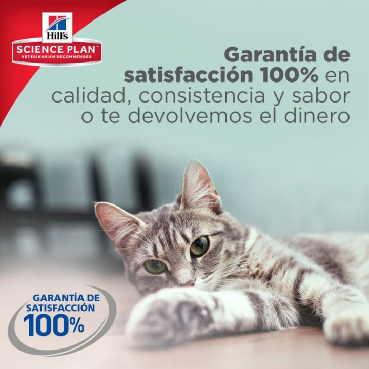 Comida Húmeda Hill's con 100% de garantía de satisfacción