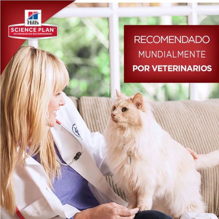 Hill's Science, Comida Húmeda recomendada para tu gato