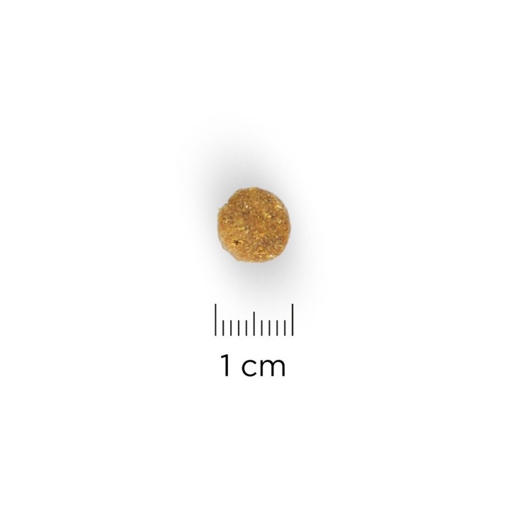 Croqueta de pienso Hill's Science Plan Feline Adult Optimal Care Pollo