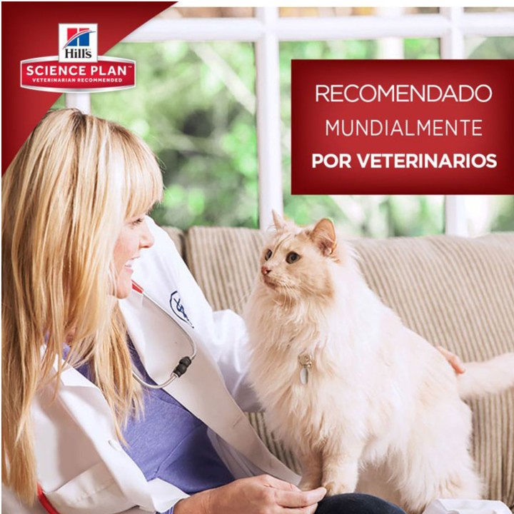 Hill's Science Plan tiene el mejor pienso para tu gato
