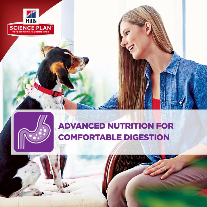 Hill's Science Plan Canine Adult Sensitive Stomach & Skin
