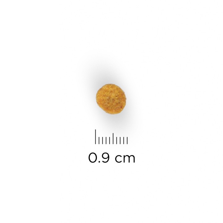 Croqueta de pienso Hill's Science Plan Feline Senior 11+ Healthy Ageing