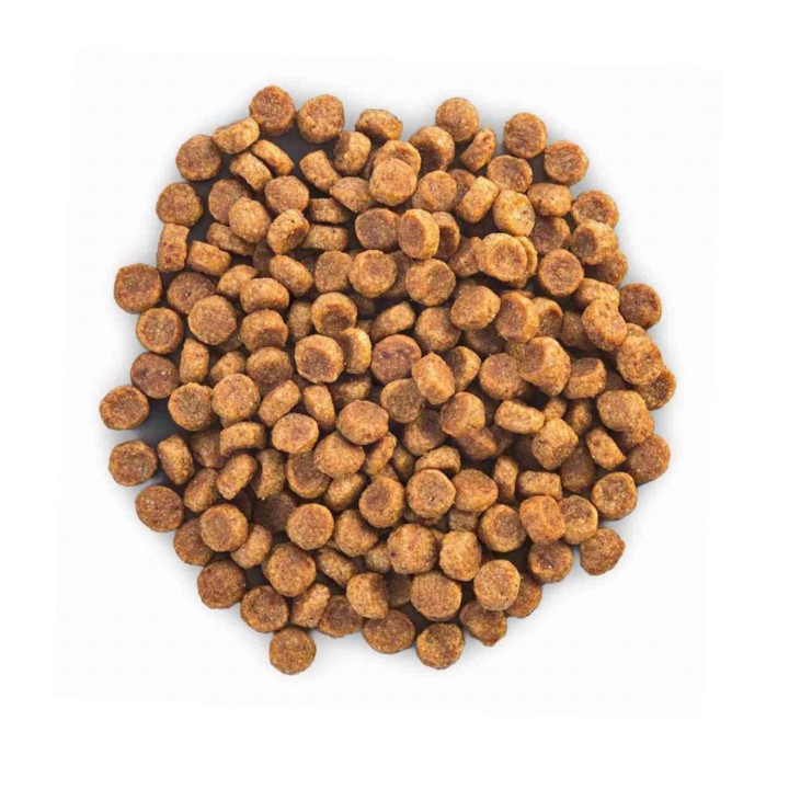 el mejor pienso Hill's Science Plan Canine Adult Small & Miniature Sensitive Stomach & Skin