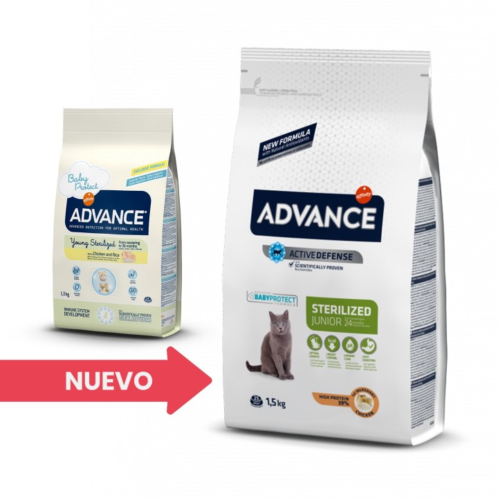 Pienso para gatos Advance Junior Sterilized