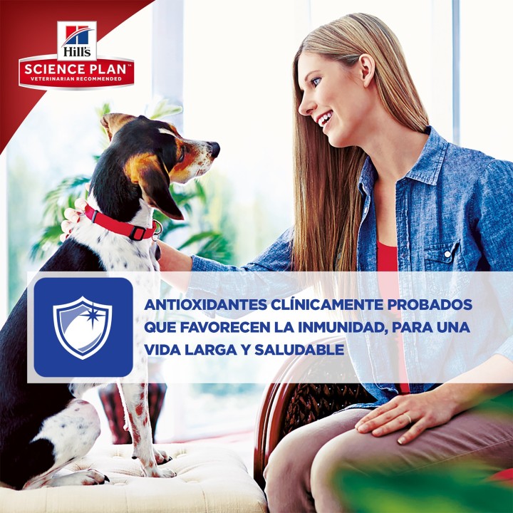La mejor calidad en piensos para perros de la marca Hill's Science