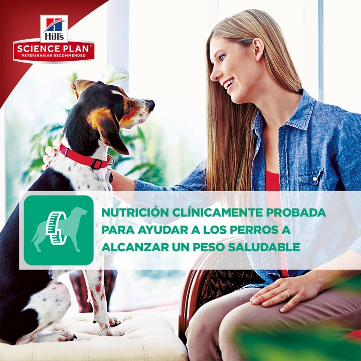 EL pienso Hill's ayudara a tu perro a mantener el peso saludable