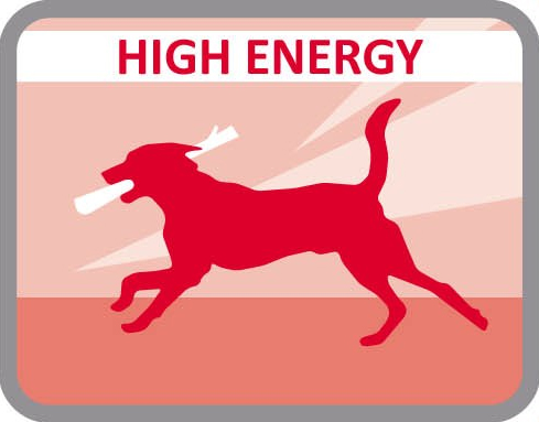 Alta energía