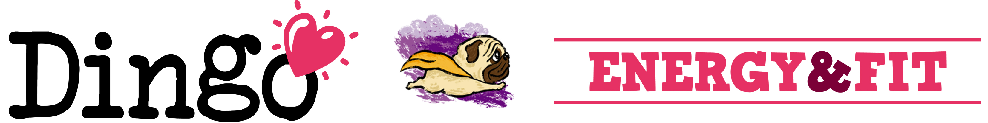 Pienso_Dingo_Energy_&_Fit_Cabecera
