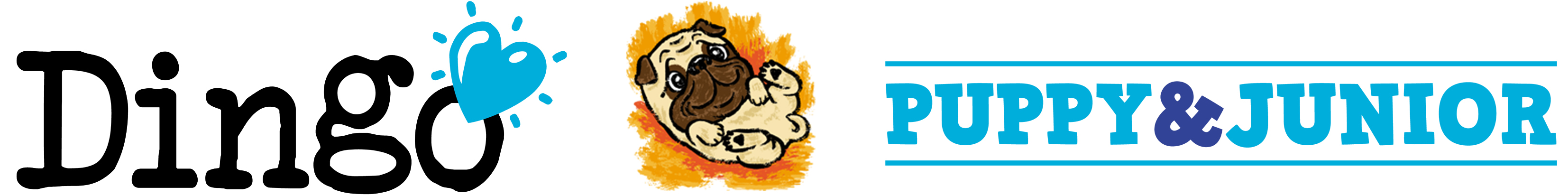 Dingo_Puppy_&_Junior_Cabecera